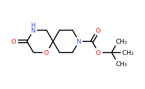 CAS 1160247-07-3 | tert-butyl 3-oxo-1-oxa-4,9-diazaspiro[5.5]undecane-9-carboxylate