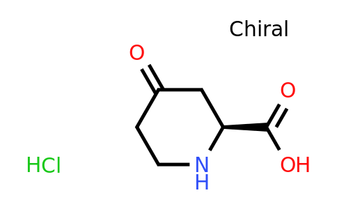 CAS 116049-23-1 | (2S)-4-oxopiperidine-2-carboxylic acid hydrochloride