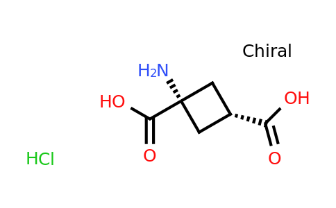 CAS 116129-08-9 | (1s,3s)-1-aminocyclobutane-1,3-dicarboxylic acid hydrochloride