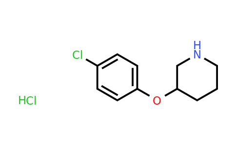 CAS 1170088-28-4 | 3-(4-Chlorophenoxy)piperidine hydrochloride