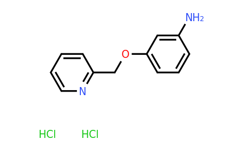 CAS 1170433-81-4 | 3-(Pyridin-2-ylmethoxy)aniline dihydrochloride