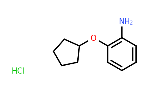 CAS 1170461-50-3 | 2-(Cyclopentyloxy)aniline hydrochloride