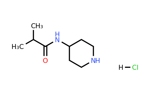 CAS 1170578-54-7 | N-(Piperidin-4-yl)isobutyramide hydrochloride