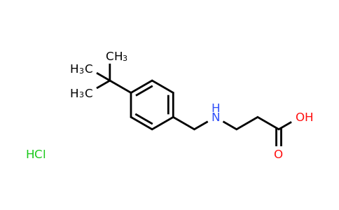 CAS 1170629-15-8 | 3-{[(4-tert-butylphenyl)methyl]amino}propanoic acid hydrochloride
