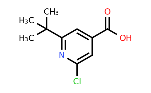CAS 1170999-92-4 | 2-tert-butyl-6-chloropyridine-4-carboxylic acid