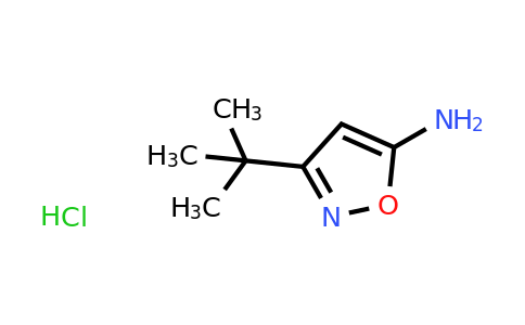 CAS 1171086-95-5 | 3-tert-butyl-1,2-oxazol-5-amine hydrochloride