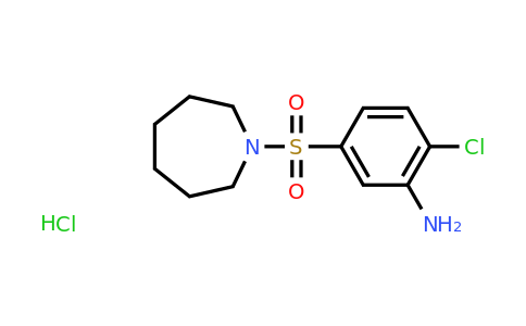 CAS 1171357-07-5 | 5-(azepane-1-sulfonyl)-2-chloroaniline hydrochloride