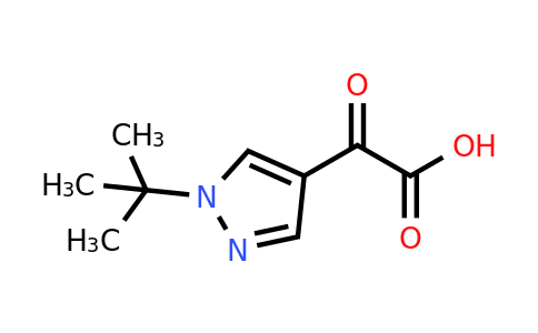 CAS 1171422-69-7 | 2-(1-tert-Butyl-1H-pyrazol-4-yl)-2-oxoacetic acid
