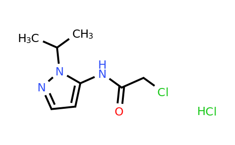 CAS 1171453-82-9 | 2-Chloro-N-[1-(propan-2-yl)-1H-pyrazol-5-yl]acetamide hydrochloride