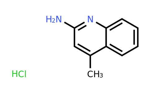 CAS 1171502-08-1 | 2-Amino-4-methylquinoline hydrochloride