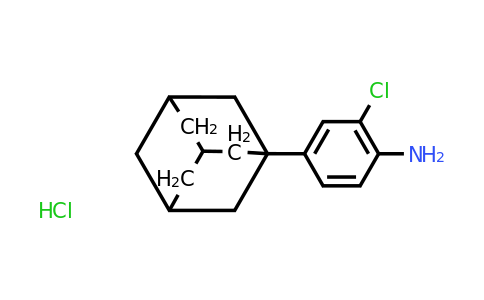 CAS 1171506-69-6 | 4-(Adamantan-1-yl)-2-chloroaniline hydrochloride