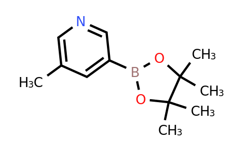 CAS 1171891-42-1 | 5-Methylpyridine-3-boronic acid pinacol ester
