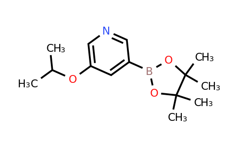 CAS 1171892-42-4 | 5-Isopropoxypyridin-3-ylboronic acid pinacol ester