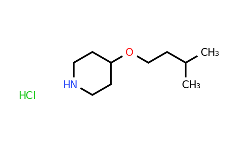 CAS 1172347-43-1 | 4-(3-methylbutoxy)piperidine hydrochloride