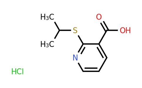 CAS 1173042-20-0 | 2-(Propan-2-ylsulfanyl)pyridine-3-carboxylic acid hydrochloride