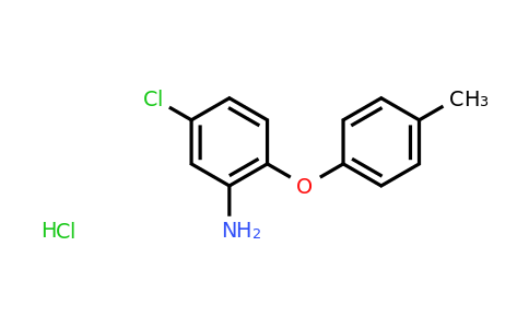 CAS 1173051-49-4 | 5-chloro-2-(4-methylphenoxy)aniline hydrochloride