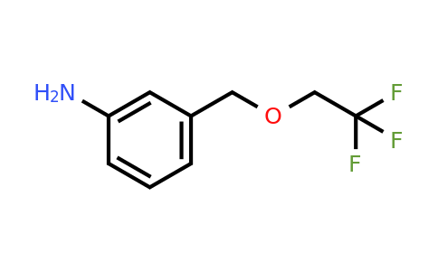 CAS 117401-68-0 | 3-[(2,2,2-Trifluoroethoxy)methyl]aniline
