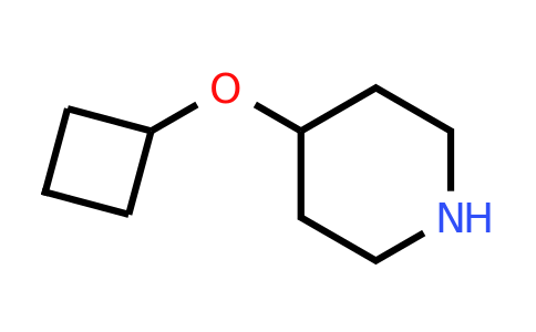 CAS 1174044-16-6 | 4-Cyclobutoxypiperidine