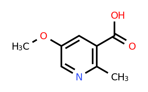 CAS 1174402-76-6 | 5-Methoxy-2-methylnicotinic acid