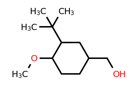 CAS 117555-85-8 | (3-tert-butyl-4-methoxycyclohexyl)methanol