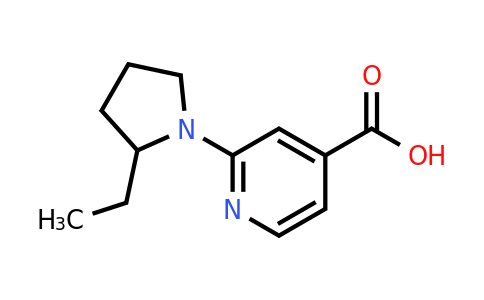 CAS 1178660-58-6 | 2-(2-ethylpyrrolidin-1-yl)pyridine-4-carboxylic acid