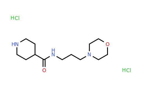 CAS 1181457-98-6 | N-[3-(Morpholin-4-yl)propyl]piperidine-4-carboxamide dihydrochloride