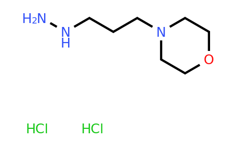 CAS 1185292-74-3 | 4-(3-hydrazinylpropyl)morpholine dihydrochloride