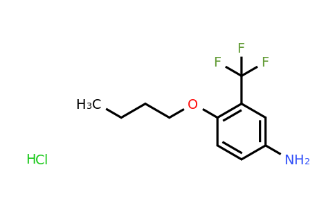 CAS 1185295-63-9 | 4-Butoxy-3-(trifluoromethyl)aniline hydrochloride