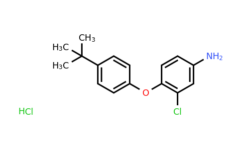 CAS 1185296-96-1 | 4-(4-(tert-Butyl)phenoxy)-3-chloroaniline hydrochloride