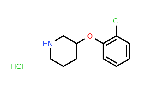 CAS 1185297-88-4 | 3-(2-chlorophenoxy)piperidine hydrochloride