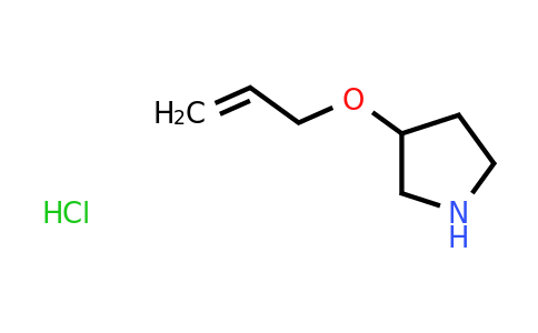 CAS 1185299-07-3 | 3-(prop-2-en-1-yloxy)pyrrolidine hydrochloride