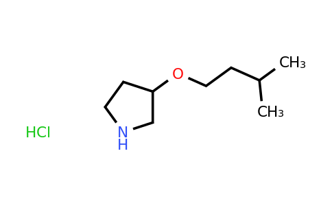 CAS 1185301-63-6 | 3-(3-methylbutoxy)pyrrolidine hydrochloride
