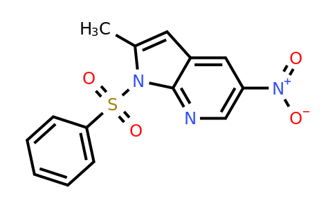 CAS 1186501-88-1 | 1-(benzenesulfonyl)-2-methyl-5-nitro-pyrrolo[2,3-b]pyridine