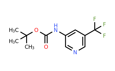 CAS 1187055-61-3 | 3-(Boc-amino)-5-trifluoromethyl-pyridine