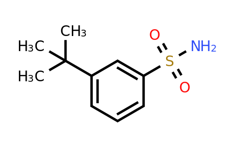 CAS 1187437-00-8 | 3-(tert-Butyl)benzenesulfonamide