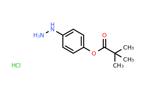2,2-Dimethyl-propionic acid 4-hydrazino-phenyl ester hydrochloride