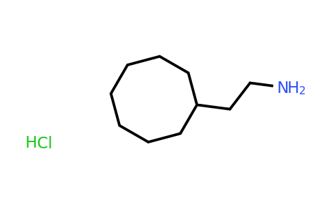 CAS 1187930-43-3 | 2-Cyclooctyl-ethylamine hydrochloride