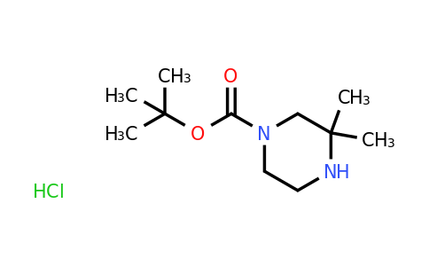CAS 1187931-03-8 | 1-Boc-3,3-dimethyl-piperazine hydrochloride