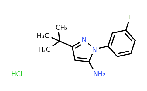 CAS 1187931-80-1 | 5-tert-Butyl-2-(3-fluoro-phenyl)-2H-pyrazol-3-ylamine hydrochloride