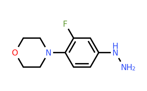 CAS 1187932-32-6 | (3-Fluoro-4-morpholin-4-yl-phenyl)-hydrazine
