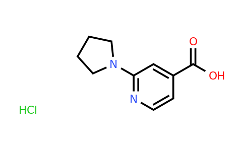 CAS 1187932-62-2 | 2-Pyrrolidin-1-yl-isonicotinic acid hydrochloride