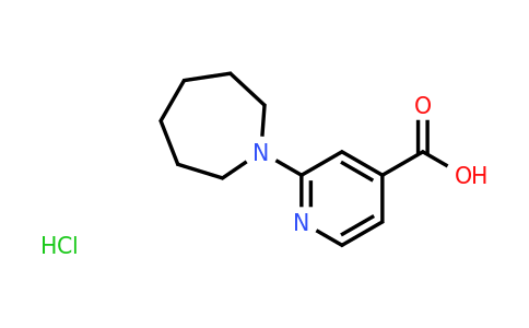 CAS 1187932-74-6 | 2-Azepan-1-yl-isonicotinic acid hydrochloride