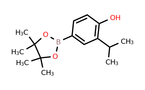 CAS 1188335-75-2 | 2-Isopropyl-4-(4,4,5,5-tetramethyl-1,3,2-dioxaborolan-2-YL)phenol