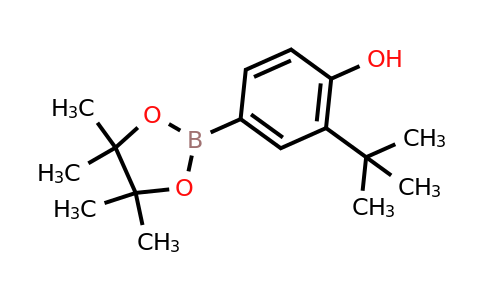 CAS 1188335-77-4 | 2-Tert-butyl-4-(4,4,5,5-tetramethyl-1,3,2-dioxaborolan-2-YL)phenol