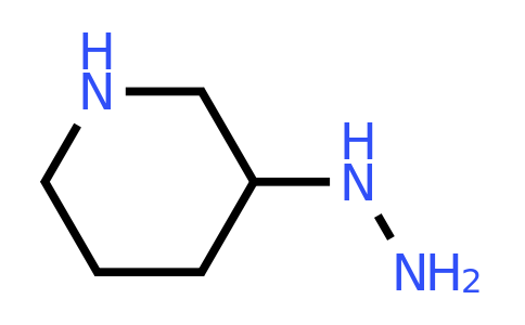 CAS 1189808-26-1 | 3-piperidylhydrazine