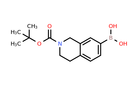 CAS 1190058-21-9 | 2-(Tert-butoxycarbonyl)-1,2,3,4-tetrahydroisoquinolin-7-ylboronic acid
