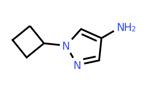 CAS 1190380-64-3 | 1-cyclobutyl-1H-pyrazol-4-amine