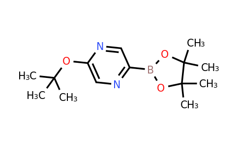 CAS 1192838-57-5 | 5-(Tert-butoxy)pyrazine-2-boronic acid pinacol ester