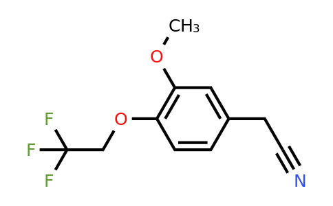 CAS 1193388-12-3 | 2-[3-Methoxy-4-(2,2,2-trifluoroethoxy)phenyl]acetonitrile