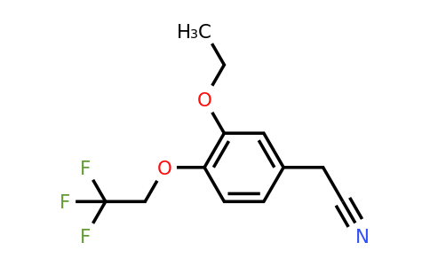 CAS 1193388-18-9 | 2-[3-Ethoxy-4-(2,2,2-trifluoroethoxy)phenyl]acetonitrile